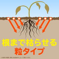 アースガーデン おうちの草コロリ 粒タイプ 除草剤 雑草対策 900g 1個 アース製薬