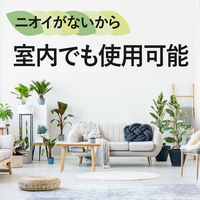 BotaNice ボタナイス 土からわいたコバエ退治 粘着剤タイプ 1パック（12個入） アース製薬