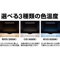 ディスプレイライト USB接続/3色光/調光10段階 ライト付きディスプレイボード LDB-500クロ 1個 キングジム