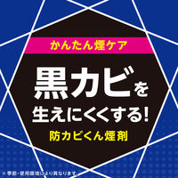 らくハピ お風呂カビーヌ 無香性  1セット（3個入×3パック）黒カビ 生やさない 浴室 除菌 アース製薬