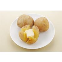 山研 レンジで蒸し器野菜工房 2085809 1個 山研工業（直送品）