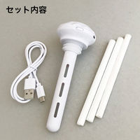 デコレコーポレーション デコレ USB潤いポット サボテン AG-86301 1個