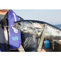 ハヤブサ HB FS426-40-5 TG ミドキン 1個（直送品）