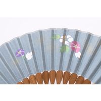 ひしだ SB-25 P透 朝顔 水 小田巻有6.5 1本（直送品）