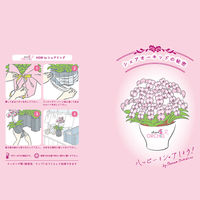 AoyamaLab ギフトカード　御祝熨斗　お祝い　贈り物に　シェアオーキッド・10人分(10号鉢10本立ち イエロー系)　二重封筒（直送品）