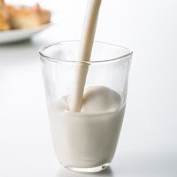 オンラインギフト　URLですぐ納品　デジタルギフト　KAWABA YOGURT 川場のむヨーグルト900ml 4本セット（直送品）