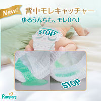パンパース おむつ パンツ M（6～12kg）1パック（62枚入）はじめての肌へのいちばん 男女共用 P&G