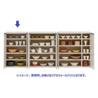 フナモコ エントランスファニチャー 幅603×奥388×高956mm リアルウォールナット ECD-60L 1台（直送品）