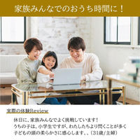 タカラッシュ　謎解き本　アートな世界の宝探し　ピットラと小さな美術館　1冊（直送品）