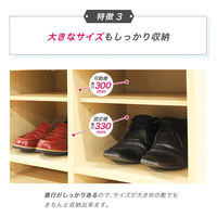 ネットフォース シューズラック 靴箱 2列6段 12人用 ナチュラル NF-SR0612-12-AW 1台（直送品）