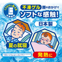 アイスノンソフト ＜長時間＞ 白元アース 1セット(10個) 氷枕 アイスまくら 冷却用品 発熱 睡眠 保冷 ひんやりグッズ