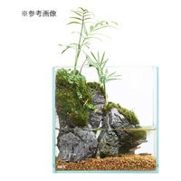 ジェックス GEX グラステリア フィット 200 225705 1個（直送品）