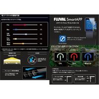 ジェックス GEX FLUVAL PLANT 900 239240 1個（直送品）