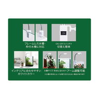 ジェックス GEX CLEAR LED Pittera 239242 1個（直送品）