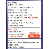 アクアシステム ASPセット用 ニューアール400 LED Hz共用 247458 1セット（直送品）