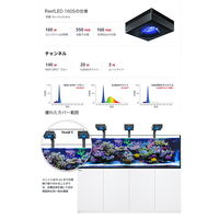 Red Sea レッドシー REEF LED 160 サンゴ 257769 1個（直送品）