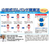 ミノウラ 山田式 腰椎コルセット W加圧ベルト Lサイズ 4907706300785 1枚