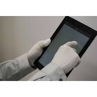 エスコ [L] 手袋(制電・ナイロン、ポリエステル指先コート/10双) EA354GC-8B 1袋(10双)（直送品）