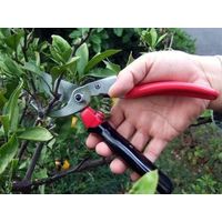 エスコ 227mm 剪定はさみ(負担軽減クリップ) EA540BC-43 1丁（直送品）