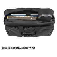 サンワサプライ トラベル小物ポーチ(W255×D97×H60mm) IN-AD10BK 1個（直送品）