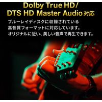 サンワサプライ 4K・HDR・HDCP2.2対応HDMI切替器(2入力・1出力または1入力・2出力) SW-HDR21BD 1個（直送品）