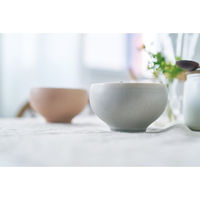 アイトー #0113508 カレット ペアボウル 1組（直送品）