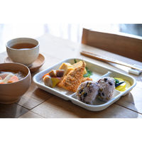 アイトー #0266032 ランチプレート ビスケット　1枚（直送品）