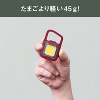 ムサシ 充電式フラッシュライト6W R COB-WL007R 1個