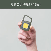 ムサシ COB-WL008KH 充電式フラッシュライト6W KH　1個