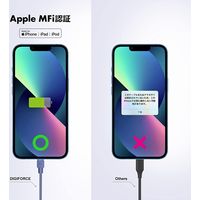 デジフォース DF D0076CG Cライトニング 2m チャコールグレー 1本（直送品）