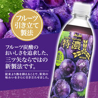 アサヒ飲料 三ツ矢特濃グレープスカッシュ 500ml 1セット（48本）
