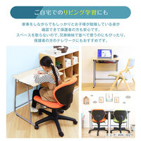 ネットフォース 学習机セット 勉強机幅650mm チェア ホワイト×ワインレッド GD-6545-S2-AW 1セット(2点入)（直送品）