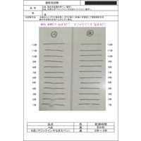 寺西化学工業 マジックインキ なまえペン 細字 黒 MNHP-T1 1本