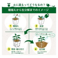 コモライフ 土に還る園芸ポット 391478 1個(30個)