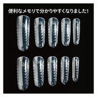 プリジェル プリアンファ プリチップ フラットフィット 116168 1個（直送品）