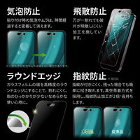 MSソリューションズ iPhone 14 Pro ガラスフィルム 全画面保護 マット・反射防止 LN-IP22FGM 1個（直送品）