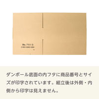 ザップ ダンボール 60サイズ W310×D220×H80mm 3mm厚 7513 1箱(60枚入)（直送品）