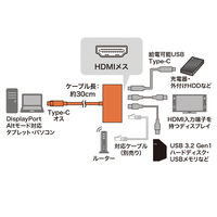 サンワサプライ USB Type-Cマルチ変換アダプタ AD-ALCMHL1BK 1個（直送品）