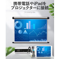 変換アダプター Mini HDMI[オス]-micro HDMI[オス]-HDMI[メス] ミニHDMI + microHDMI