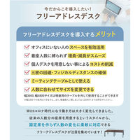 ネットフォース GOOLOO フリーアドレスデスク 幅2400×奥行1200mm NF-GFA-2412-AW-SVWH 1台（直送品）