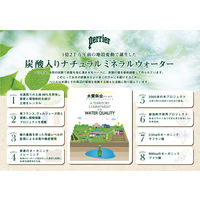 日仏貿易 ペリエ 炭酸入りナチュラルウォーター ピーチ 330ml 瓶 1箱（24本入）