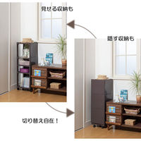 サンコープラスチック シューズラック カクストレージ P-003 ブラウン(セット販売:2個) 4973230407689 1セット(2個)（直送品）