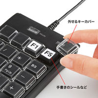 サンワサプライ プログラマブルテンキー NT-19UH2BKN2 1個（直送品）