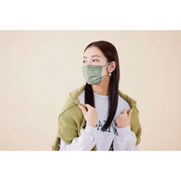 アイリスオーヤマ 美フィットマスク　ふつう　３０枚入 PK-B30MXA 1箱(30枚入り)（直送品）