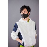 アイリスオーヤマ ＤＡＩＬＹ　ＦＩＴ　ＭＡＳＫ　立体　ふつう　３０枚入 RK-F30SBK 1箱(30枚入り)（直送品）