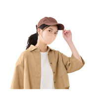 アイリスオーヤマ ＤＡＩＬＹ　ＦＩＴ　ＭＡＳＫ　立体　ふつう　３０枚入 RK-F30SSB 1箱(30枚入り)（直送品）