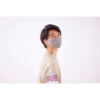 アイリスオーヤマ ＤＡＩＬＹ　ＦＩＴ　ＭＡＳＫ　立体　ふつう　３０枚入 RK-F30SXH 1箱(30枚入り)（直送品）