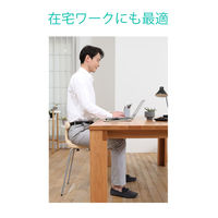 アーユル・チェアージャパン スツールタイプ Sサイズ レッド 30198 1脚（直送品）