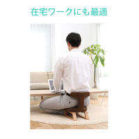 アーユル・チェアージャパン アーユル・チェアー あぐらイス レッド 30297 1脚（直送品）