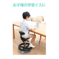 アーユル・チェアージャパン アーユル・チェアー ルナ ブラック 30686 1脚（直送品）